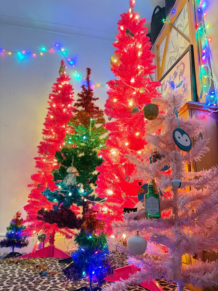 Six plastic Xmas trees of varying size from tiny to quite big, and varying colours - rainbow and two shades of pink. Decorated and lit up in a corner of our living room. More fairy lights are strung up around the walls. A prominent decoration is a bottle of gin.