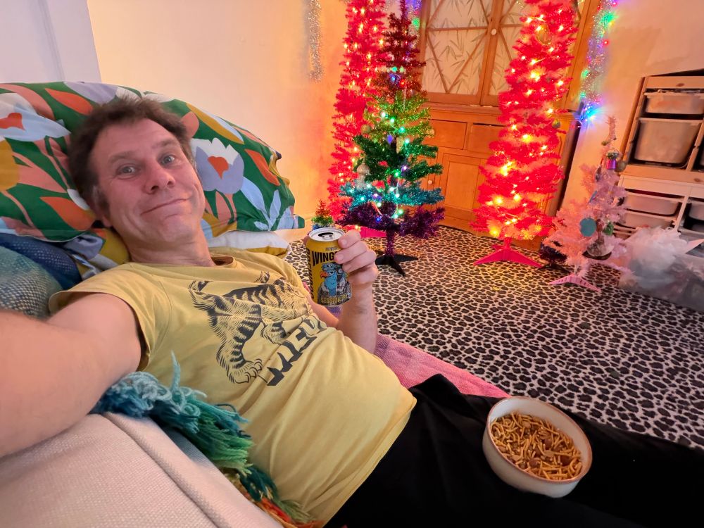 Selfie: I am lounging on my sofa. Wearing a yellow t-shirt with a cat illustration and the word “MEOW” on it, but it’s a bit crumpled by my gut. In my lap is a bowl of Bombay mix. In my left hand I am holding a small yellow can of beer. In the background the Xmas forest twinkles brightly. Leopard-print carpet. I look very happy and comfortable.