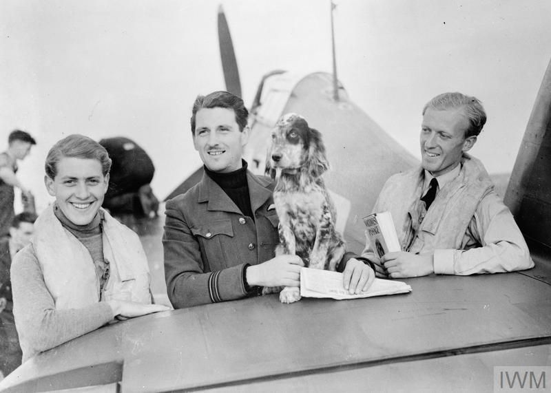 Three men and a dog lean against the tail section of a Hawker Hurricane aircraft.