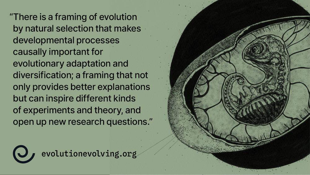quote and image from 'Evolution Evolving' book