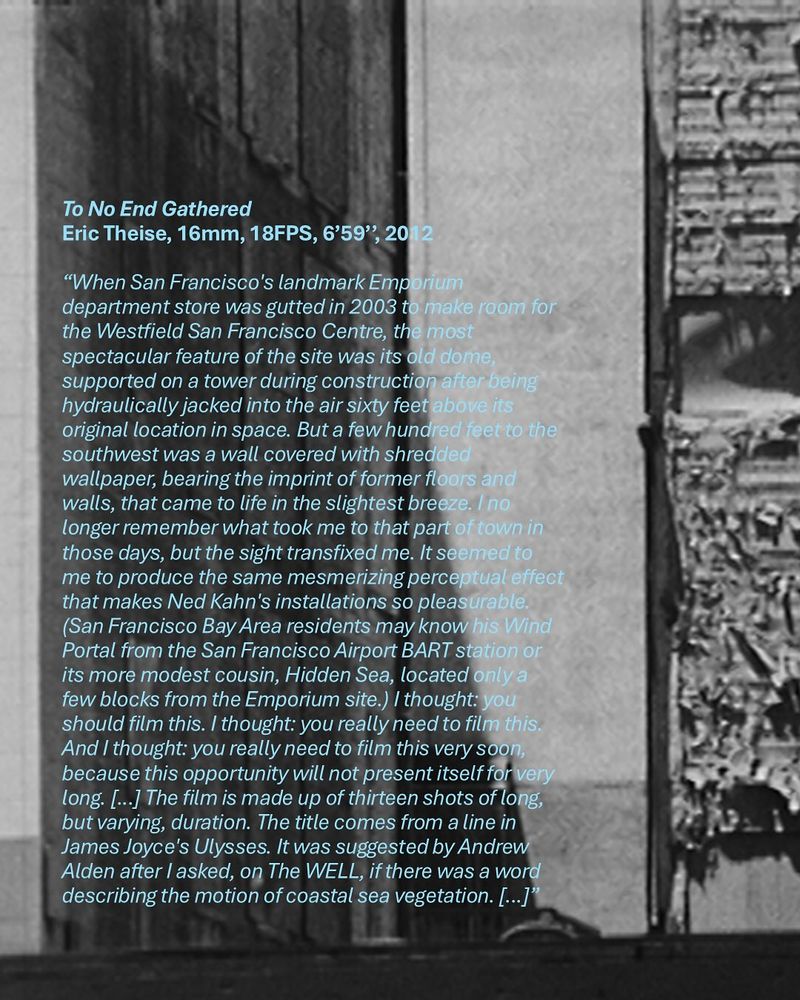 An excerpt from what I've written about my piece, To No End Gathered; full text at https://erictheise.com/films/to-no-end-gathered/