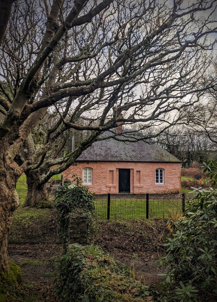 A cottage framed by trees at Culzean, South Ayrshire. Photographed on Boxing day, 2024.