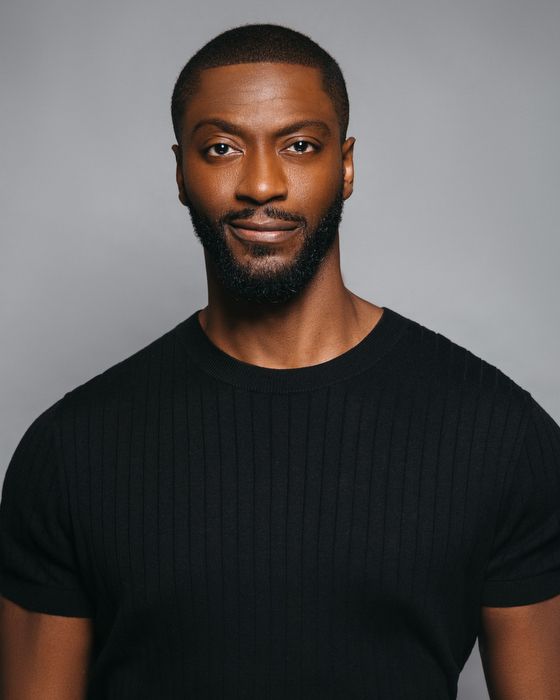 Aldis Hodge, an extremely hot Black man, stands looking at the camera, giving a small smirk, because he knows he’s hot. He has a thick, dark goatee, and is wearing a fitted black knit t-shirt.