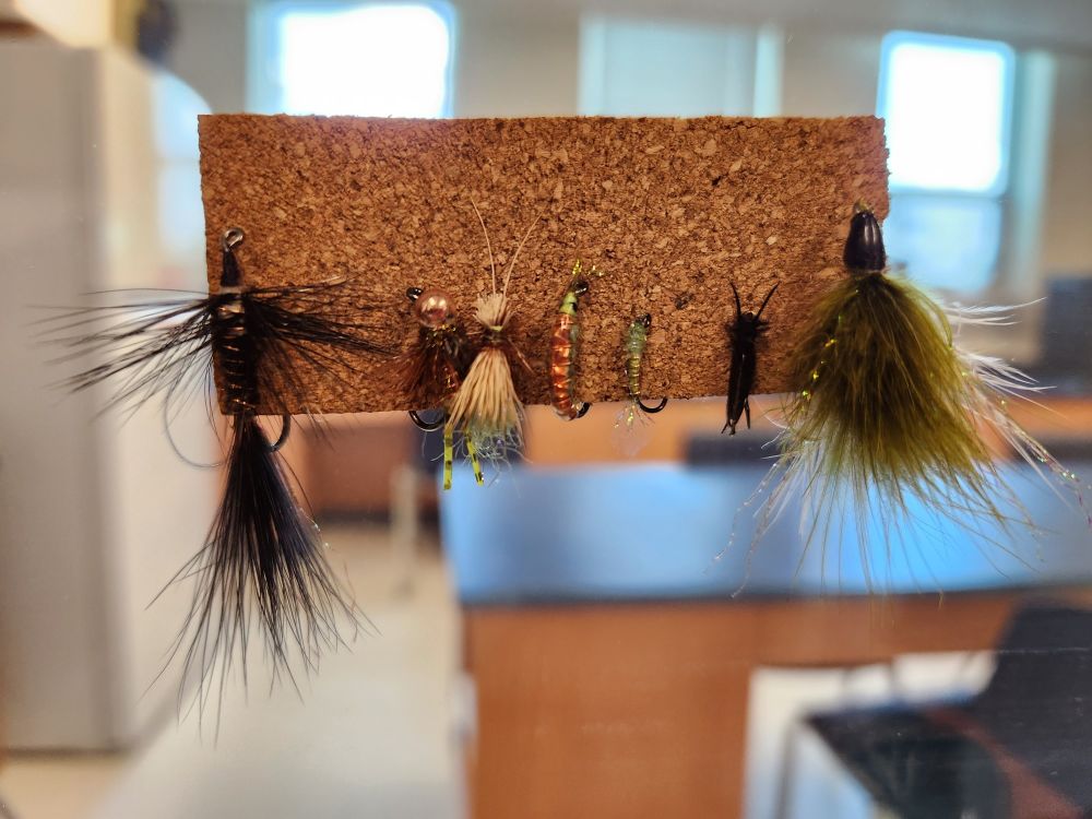 Photo of a piece of cork board with seven frigging gorgeous fly fishing flies stuck into it