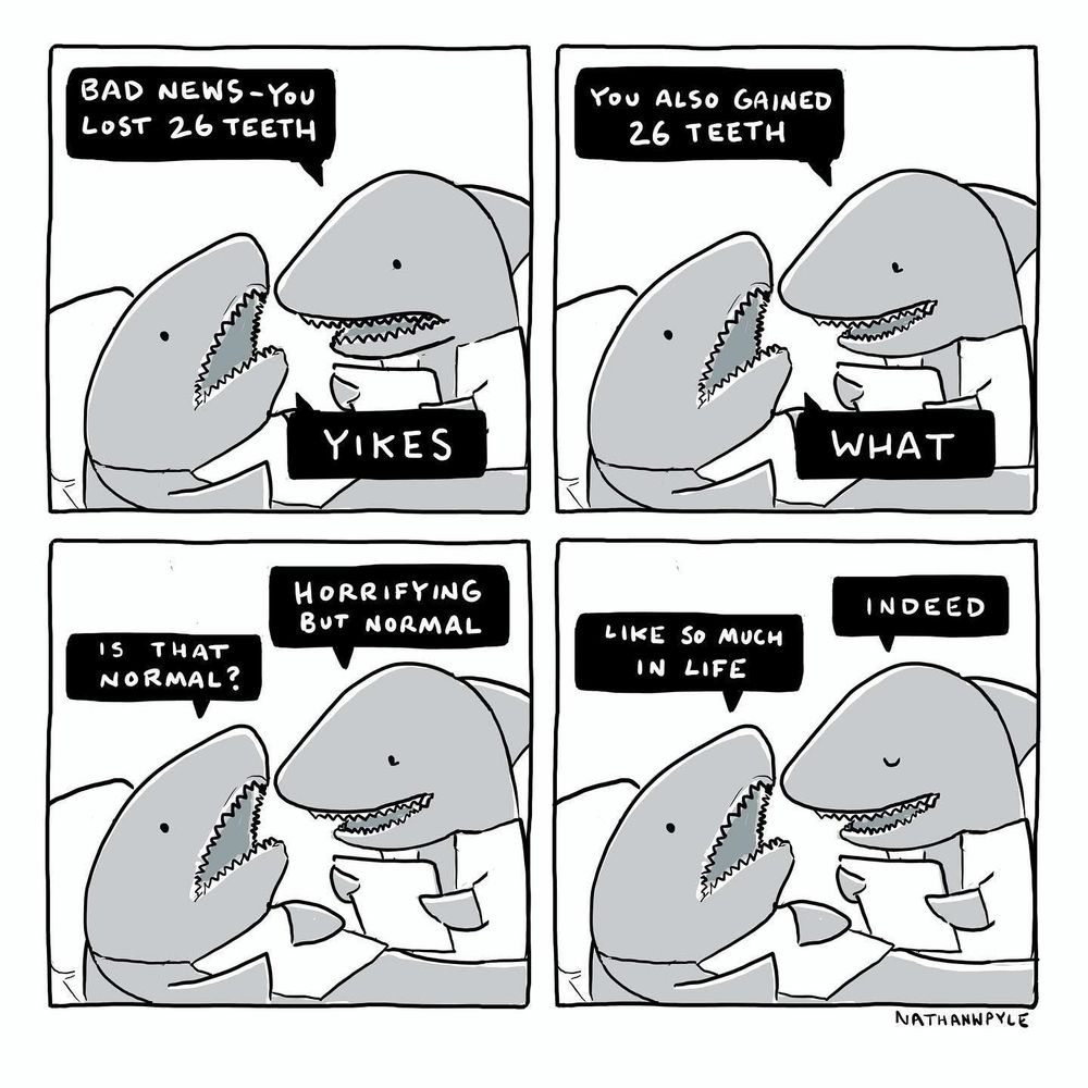 Shark cartoon by Nathan Pyle