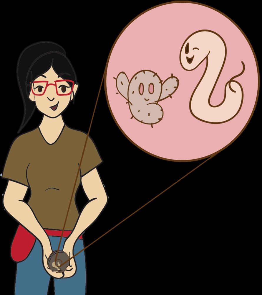 Comic by Dr. Jaye Gardiner (@jayeperview.bsky.social, @jkxcomics.bsky.social). Cartoon of Edna wearing red glasses and a fanny pack, holding a squirrel, and there's a zoom into the squirrel that shows microbes