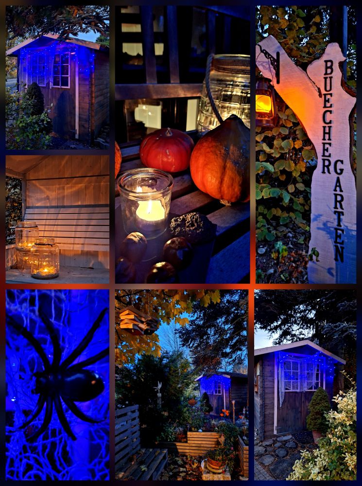 Gruselige Collage mitt Fotos aus dem dunklen Garten der Bücher rund ums BücherTauschHaus mit dicker schwarzer Spinne auf blau leuchtendem Spinnennetz und orangen Kürbissen im Kerzenschein.
