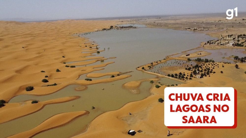 Chuva no Saara cria lagoas entre as dunas do deserto; veja VÍDEO