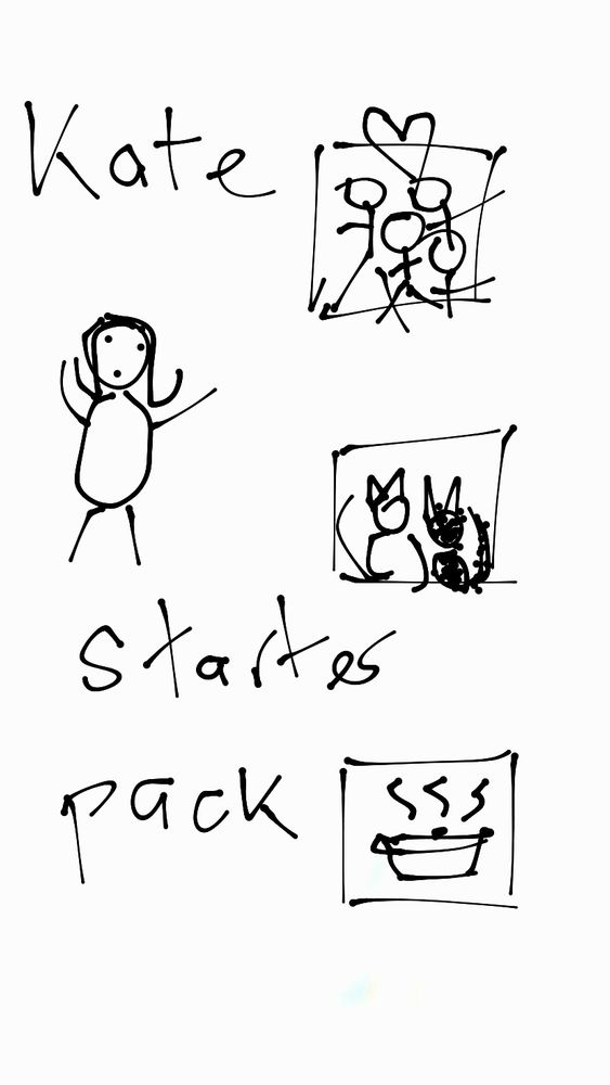 Kate starter pack dessin au doigt sur l’appli Instagram sur le gauche un bonhomme patate, corps et tête ronds, jambe et bras bâtons me représentant. Sur la droite 3 cases à la verticale une représentant ma famille, une représentant les chats une représentant une cocotte Le Creuset. 