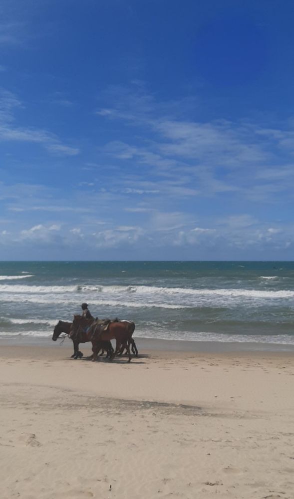 Imagem de uma praia. O céu azul está com poucas nuvens, concentrando mais nuvens perto da linha do horizonte. O mar azul-esverdeado está com algumas ondas quebrando próximo à areia. A areia é cor creme clara, com pegadas para todos os lados. Próximo ao mar, um homem à cavalo guia outros quatro cavalos marrons, andando para a esquerda na perspectiva da foto.