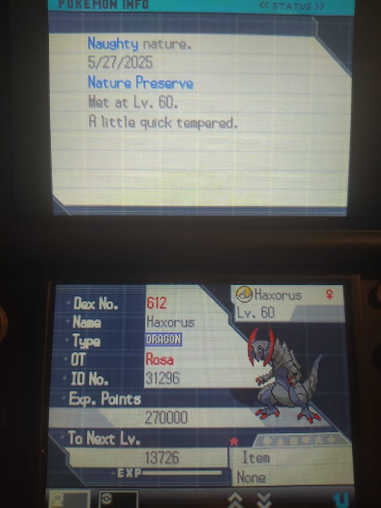 Shiny haxorus summary screen in black 2