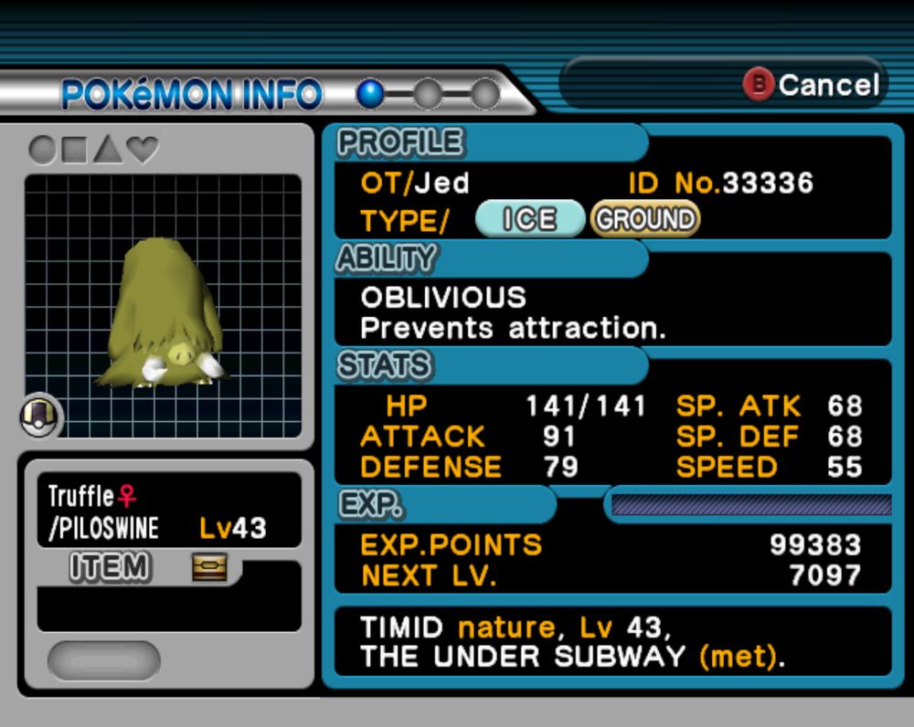 Shiny piloswine called Truffle in colosseum