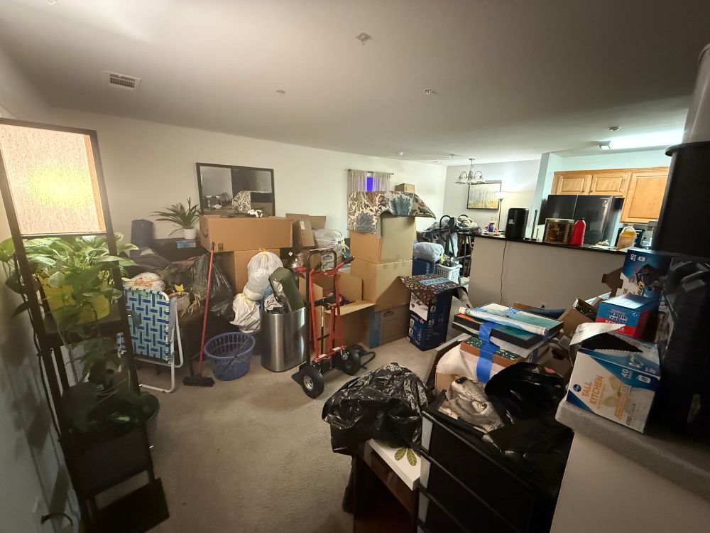 Our dining room, living room and kitchen in chaos from moving prep.