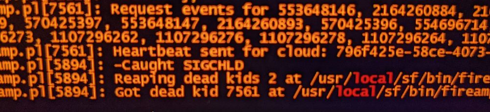 A screenshot of terminal output. The prominant lines are "Reaping dead kids" and "Got dead kid". It's referring to child processes, not actual children, I think.