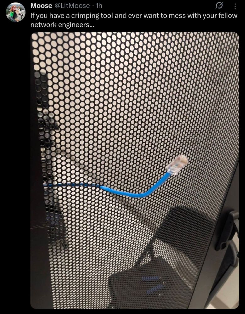 A network cable is sticking through one of the small holes in the rack door. The end was crimped on afterwards to confuse people about how it got there.