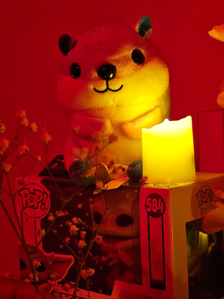 A cute little squirrel/beaver toy glowing in red light carefully placed on top of a ground funky pop box.


