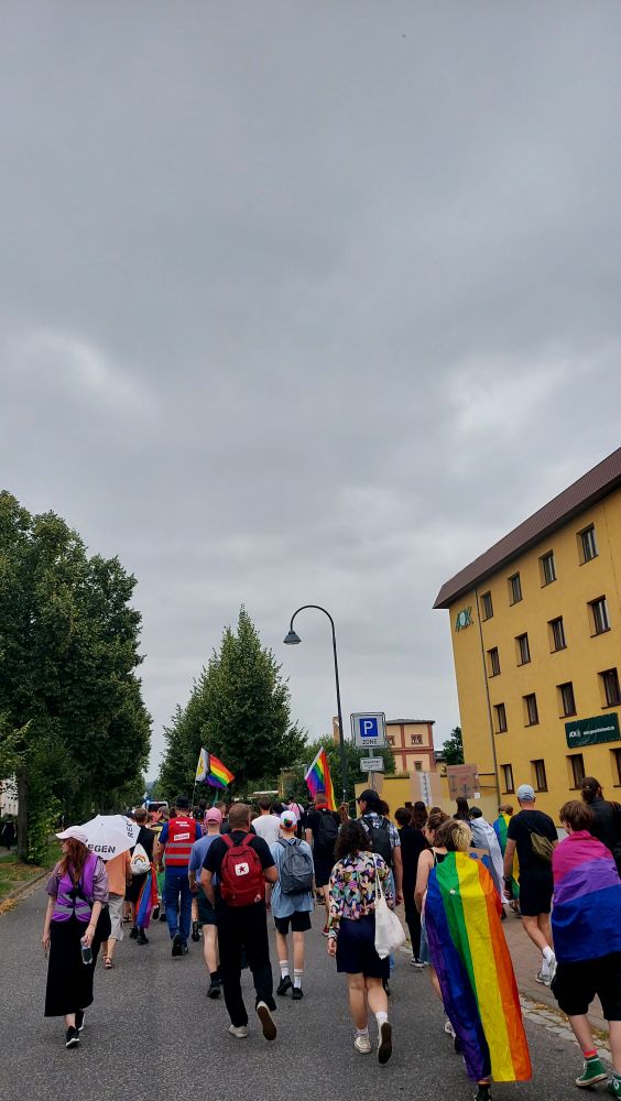 Zubringerdemo zum CSD Burgenland vom Hauptbahnhof, zu sehen sind um die 100 Menschen mit Pride-Fahnen