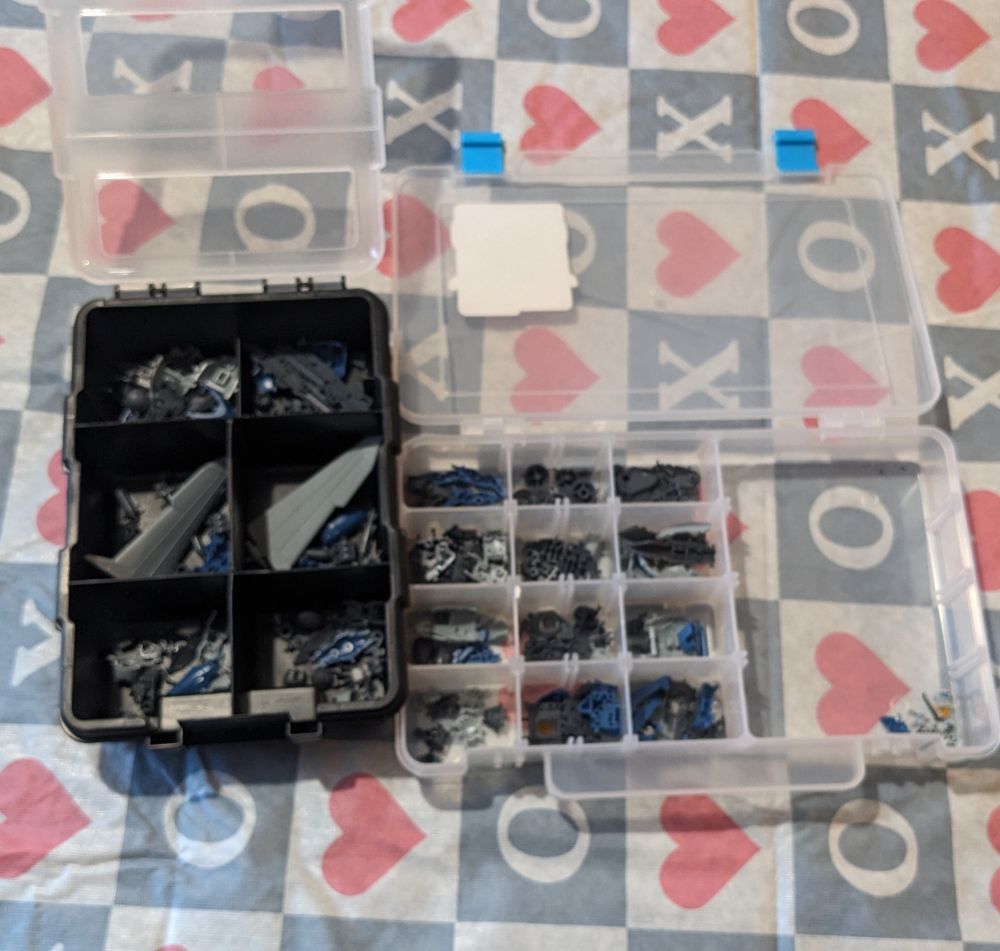 Screw sorting boxes being used for model building separating steps.