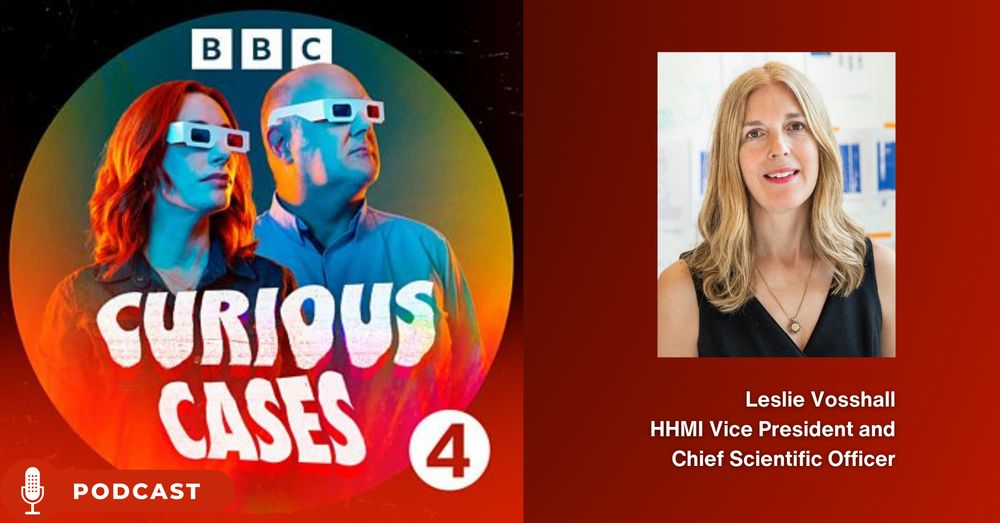Promotional image for the BBC podcast "Curious Cases," featuring two hosts wearing 3D glasses and looking at a glowing object, alongside a portrait of Leslie Vosshall, HHMI Vice President and Chief Scientific Officer.