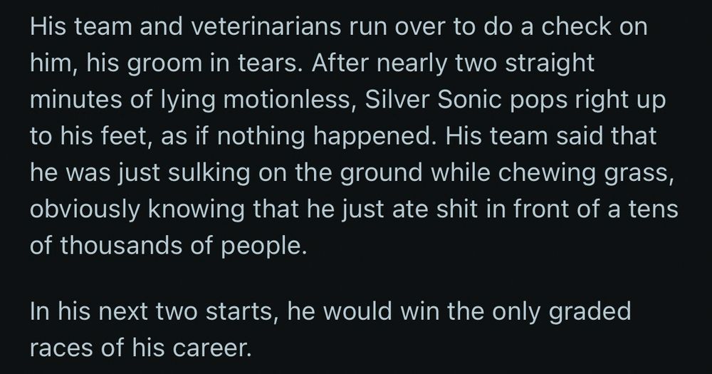 His team and veterinarians run over to do a check on him, his groom in tears. After nearly two straight minutes of lying motionless, Silver Sonic pops right up to his feet, as if nothing happened. His team said that he was just sulking on the ground while chewing grass, obviously knowing that he just ate shit in front of a tens of thousands of people.

In his next two starts, he would win the only graded races of his career.