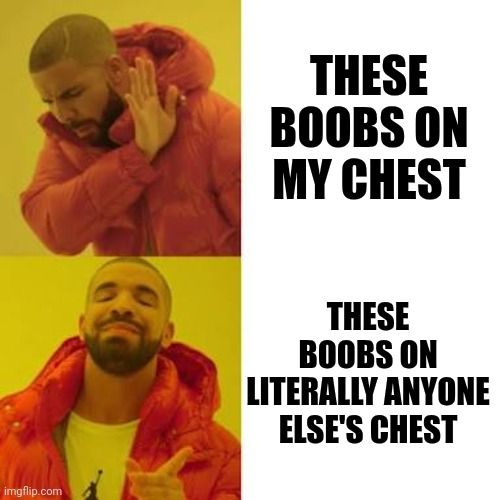 A Drake-themed "no/yes" meme, with top text that reads: "These boobs on my chest? (No!)." Bottom text reads: "These boobs on literally anyone else's chest? (Yes!)."