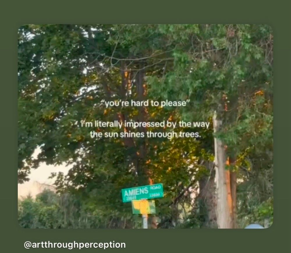 "you're hard to please"

"i'm literally impressed by the way the sun shines through trees."