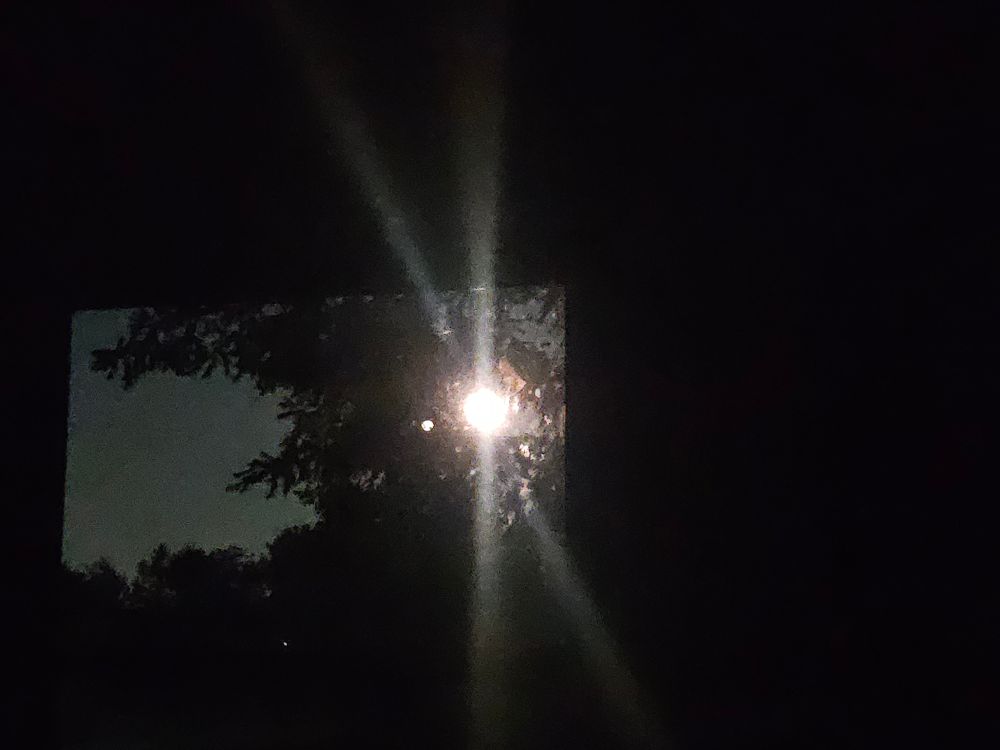sturgeon moon