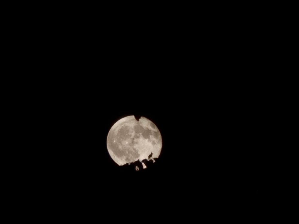 sturgeon moon