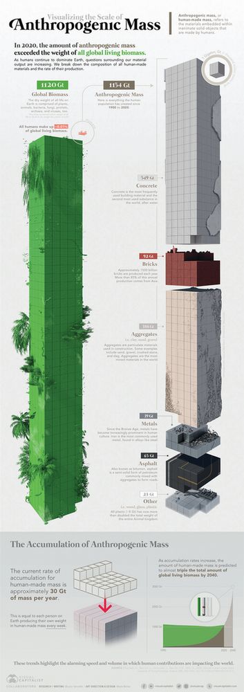 A stacked bar chart showing the growth of anthropogenic mass (human-made objects) compared to natural biomass from 1900 to 2040 (projected). The chart shows anthropogenic mass, broken down into categories like Concrete, Aggregates, Bricks, Asphalt, Metals, and Plastics, steadily increasing over time. Natural biomass, divided into Trees and Shrubs, Crops, Livestock, and Humans, is shown with relatively stable or slightly decreasing totals. The year 2020 is marked as the point where anthropogenic mass is projected to exceed natural biomass, with a note stating "Total anthropogenic mass exceeds all global living biomass." The chart is titled "ACCUMULATION OF ANTHROPOGENIC MASS".