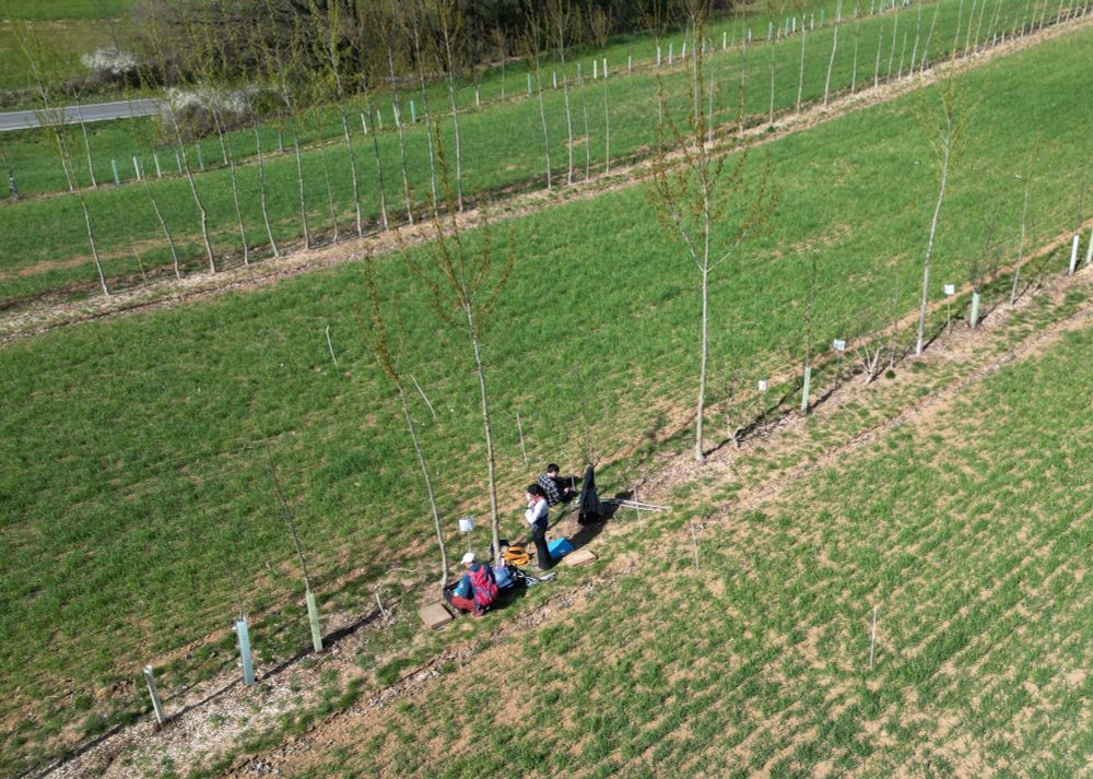 Soil core sampling of SP3 at Gladbacher Hof (Photo: Eva-Maria Minarsch).
