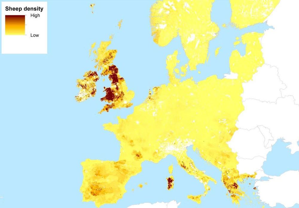 Map showing density of sheep across Europe. UK, Ireland, Sardinia and Greece stand out as high