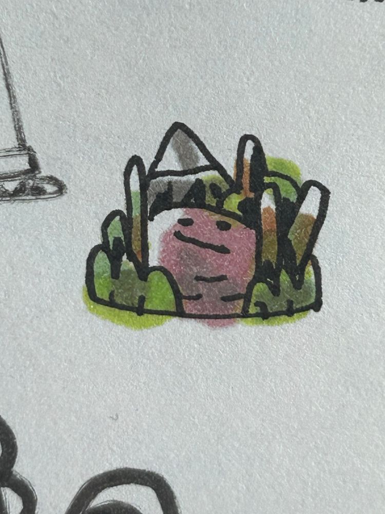 Face in vegetation 