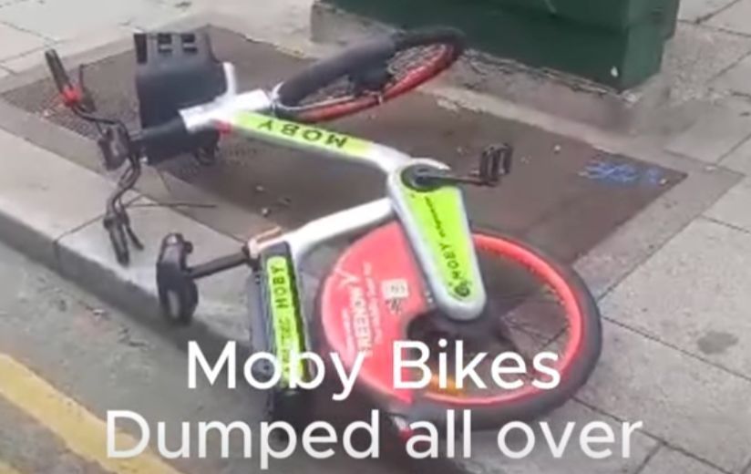With Moby bikes “discarded constantly” and one set on fire, a Dublin councilor wants a review of bicycle share