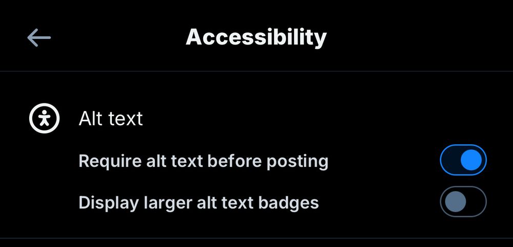 Screenshot showing the toggle to require alt text before posting images or videos to make your posts more accessible to the visually impaired. You can find it in Settings: Accessibility 