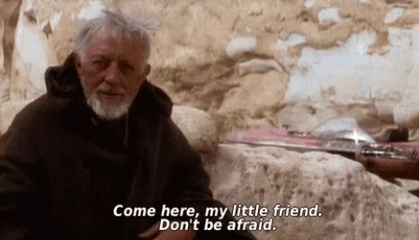 a picture of obi wan kenobi from Star Wars IV: a new hope. a caption reads: "Come here, my little friend. Don't be afraid."