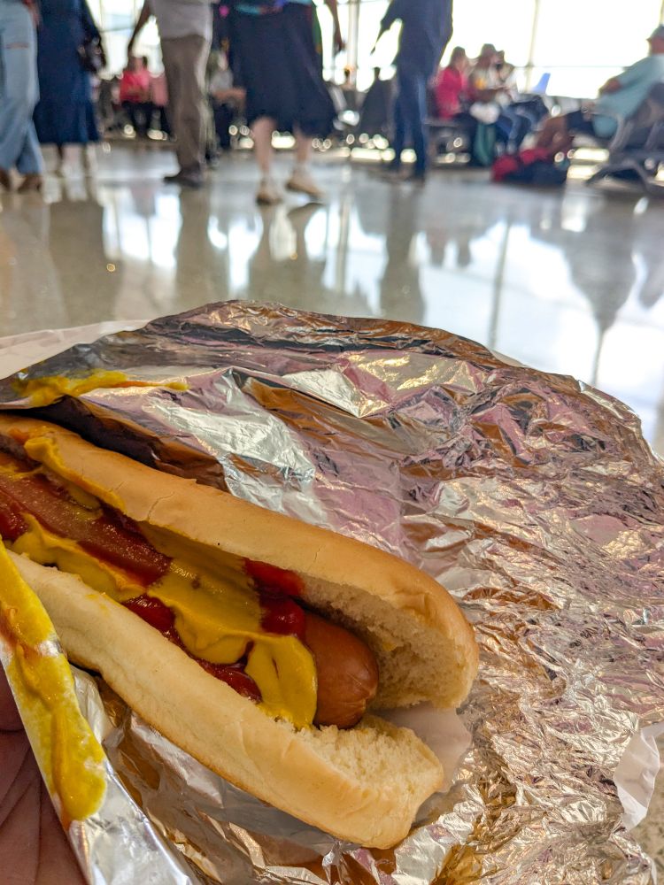 Lucky Dog at MSY, side of tears