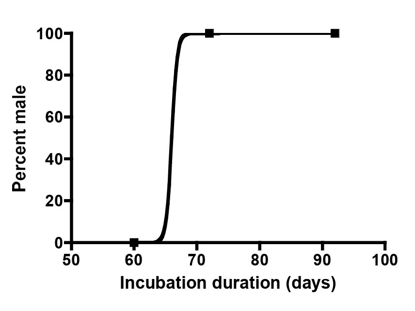 Relation between hatching duration of male forest tortoises and sex. Early hatching individuals from warmer nests were all female, wheras all later hatching individuals were all male