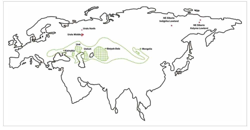 Geographic origin of modern and ancient samples used in this study (ancient samples in red and modern samples in green). Dashed line represents the area where the species is known to have existed during historical times (17th–18th century).