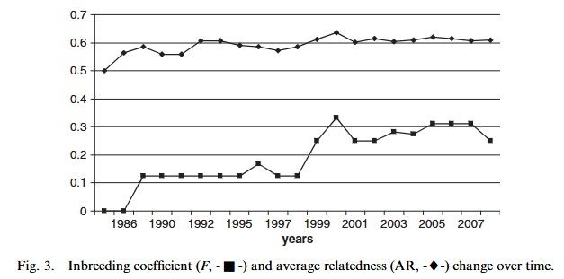 Graph showing changes in the inbreeding coefficient (F, squares) and average relatedness (AR, triangles) in a captive Addax nasomaculatus population over time. Both measures increased steeply at first, with F rising sharply around 1986 and again around 1998, followed by more stable values in recent years (2001-2007). Source: Armstrong et al. (2010) “Genetic structure analysis of a highly inbred captive population of the African antelope Addax nasomaculatus. Conservation and management implications".