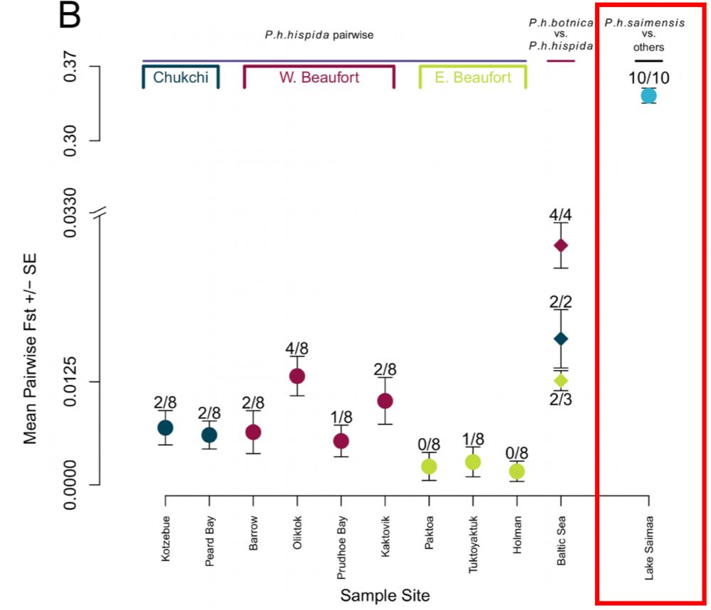 An estimate of the amount of genetic differentiation between ringed seal breeding sites using pairwise fixation indices (FST). FST for Saimaa pairwise with the Baltic and the nine Arctic breeding sites ranged from 0.30–0.37, where FST values >0.25 are generally taken to represent pronounced levels of genetic differentiation. 
