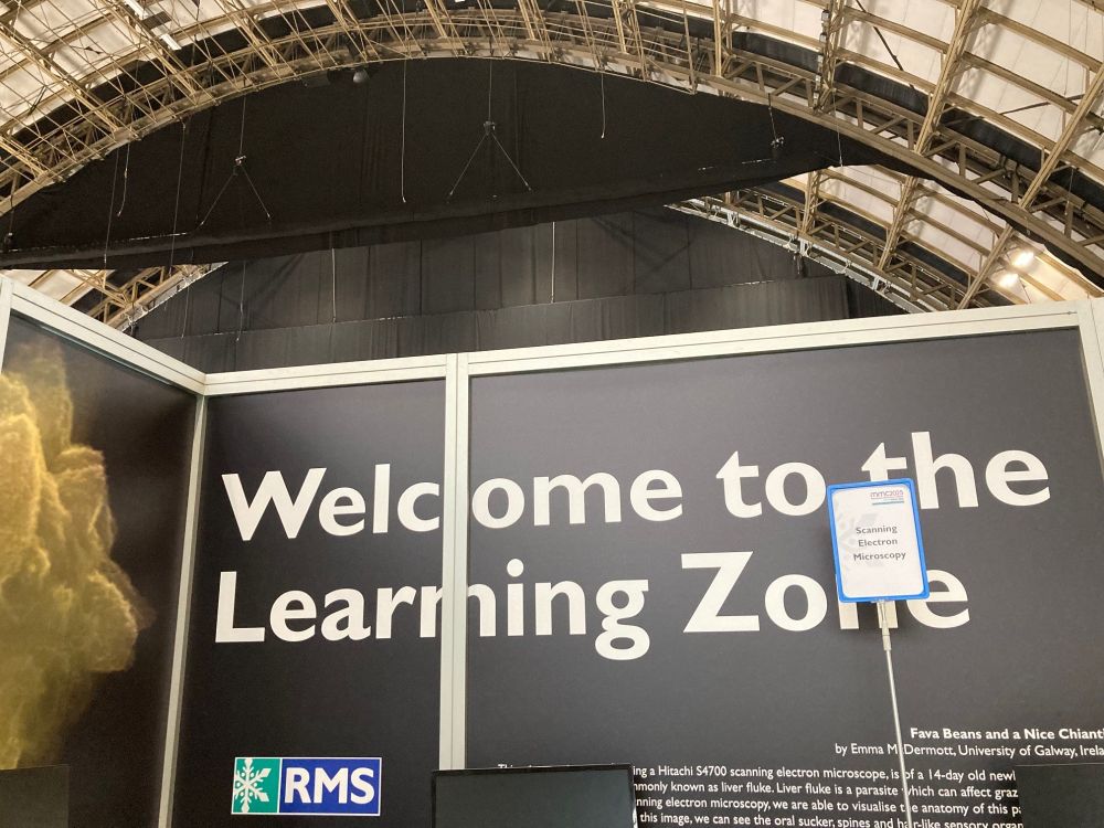 A large sign reads 'Welcome to the Learning Zone' with the domed roof of Manchester Central in the background