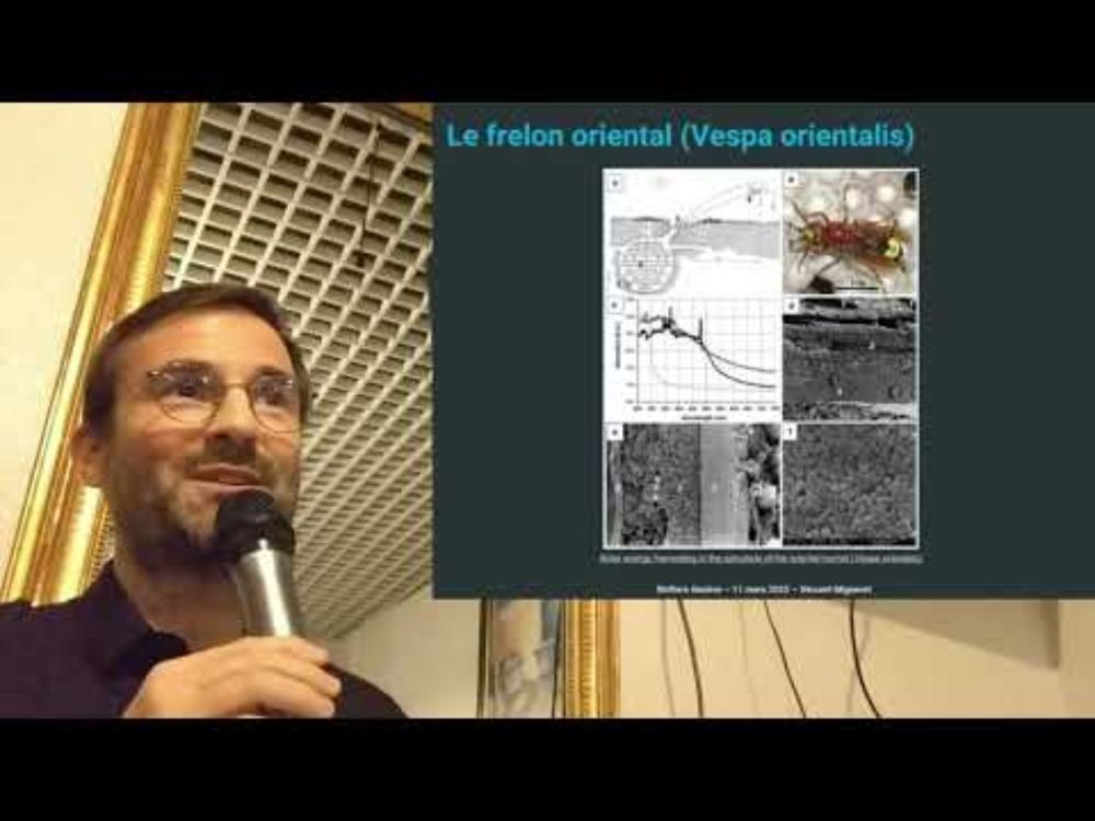 Frigos et sociétés, ne plus confondre - Conférence de Vincent Mignerot à Genève le 11 mars 2025
