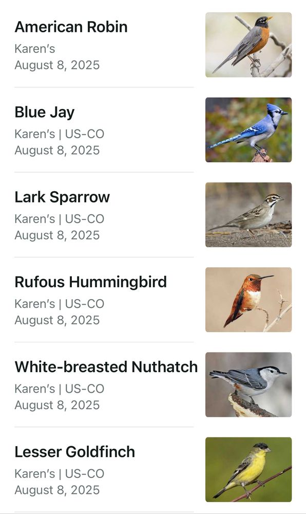 Birding list that lists American Robin, Blue Jay, Lark Sparrow, Rufous Hummingbird, White-breasted Nuthatch, and Lesser Goldfinch