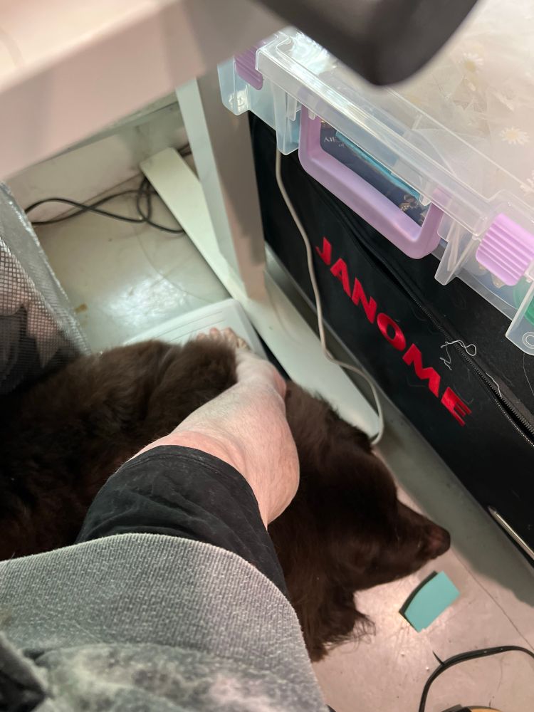 A leg over a big brown dog that is half on a sewing machine foot pedal   Table legs and a art bin on top of a janome case to the right 
