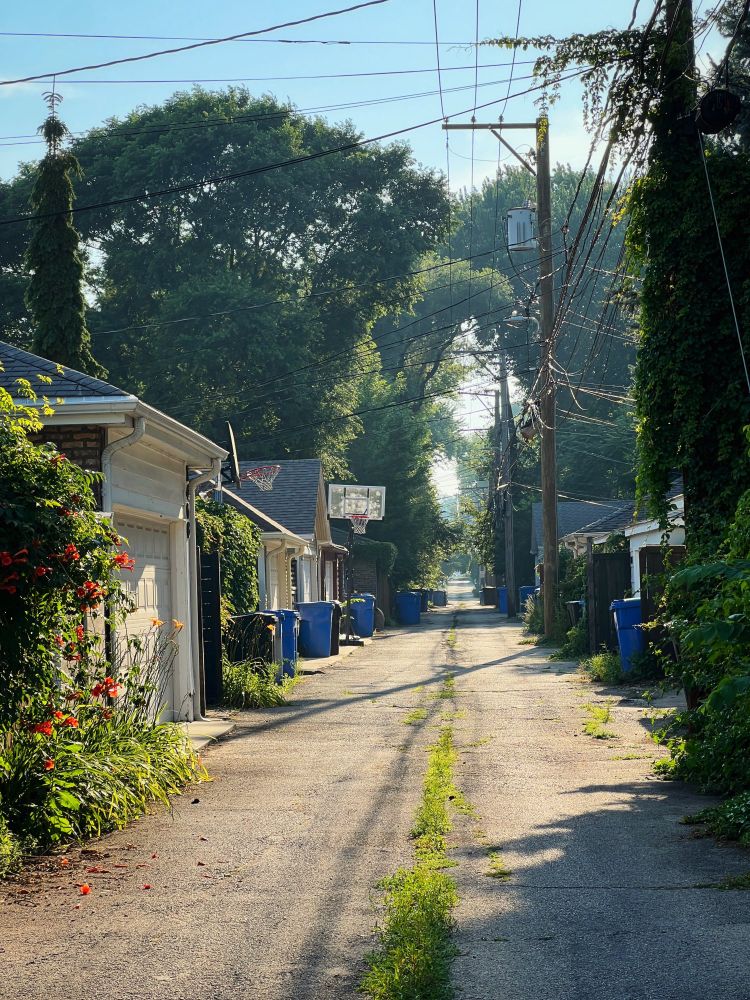photo of a neighborhood alleyway in Chicago in late afternoon