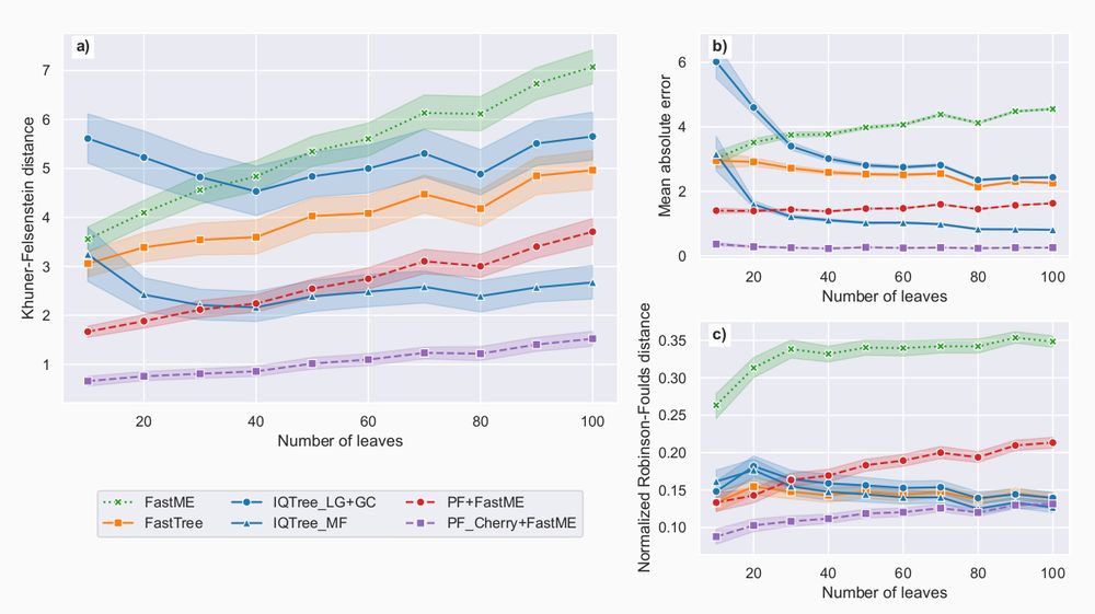 A plot comparing the error of different methods under a more complex probabilistic model of sequence evolution. Phyloformer outperforms all other methods under all metrics.