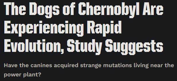 A headline on Popular Mechanics: "The Dogs of Chernobyl Are Experiencing Rapid Evolution, Study Suggests"

Subheader reads: "Have the canines acquired strange mutations living near the power plant?"