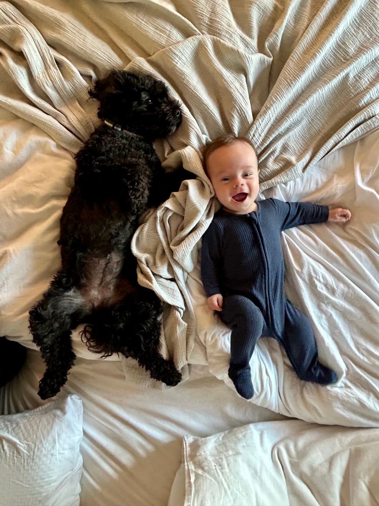 A baby and a small black dog lying on a bed with white sheets