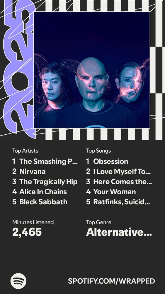 Spotify wrapped screenshot 