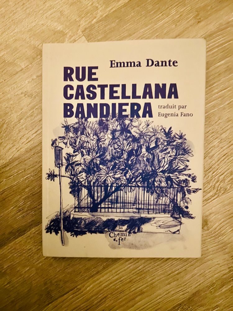 Photo du roman Rue Castellana Bandiera d’Emma Dante